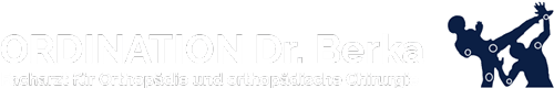 Logo footer